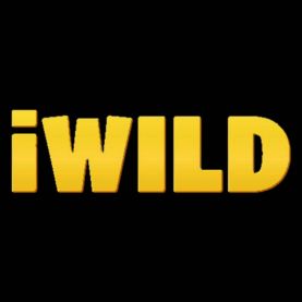 iWild Casino review